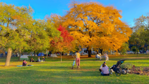 Trinity Bellwoods Toronto Summer Music Festival - Experience live music, good vibes, and summer fun in the heart of Toronto!