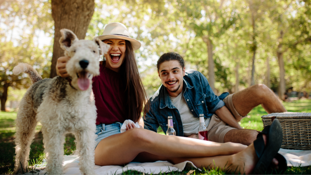 Experience the Toronto Summer Music Festival with live performances, vibrant culture, and unforgettable summer vibes!