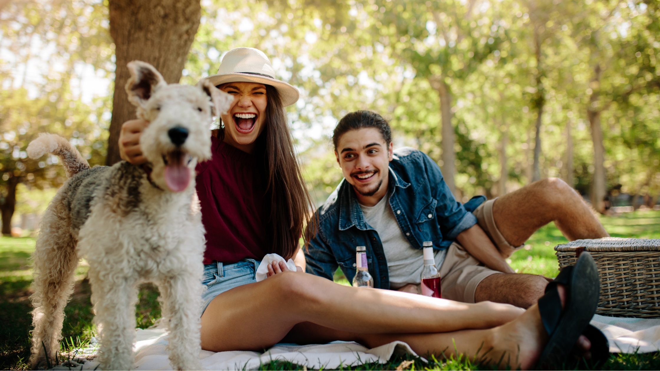 Experience the Toronto Summer Music Festival with live performances, vibrant culture, and unforgettable summer vibes!